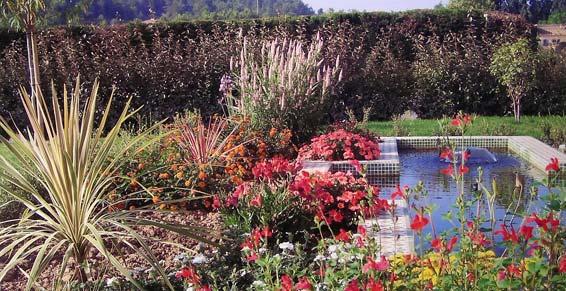 paysagiste création d'un bassin