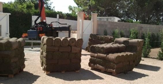 Sud Jardin - Aude - Livraison de gazon en plaque