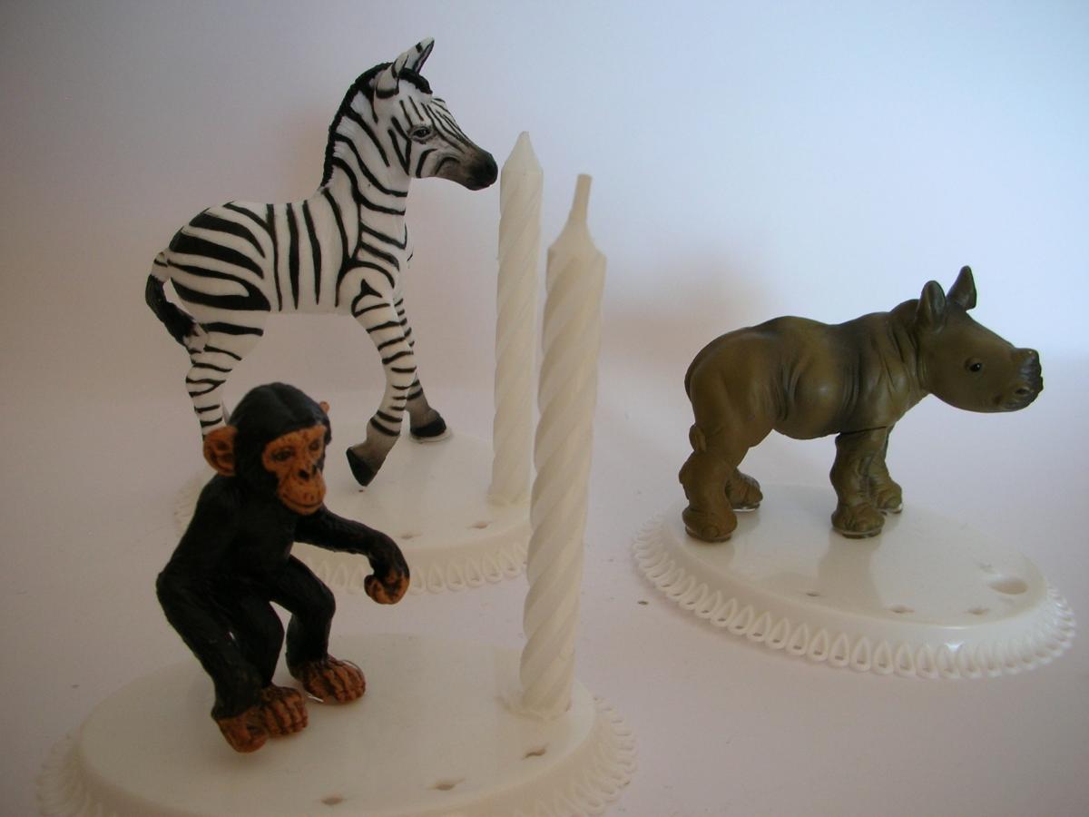 BOUGIE ANIMAUX SAUVAGE