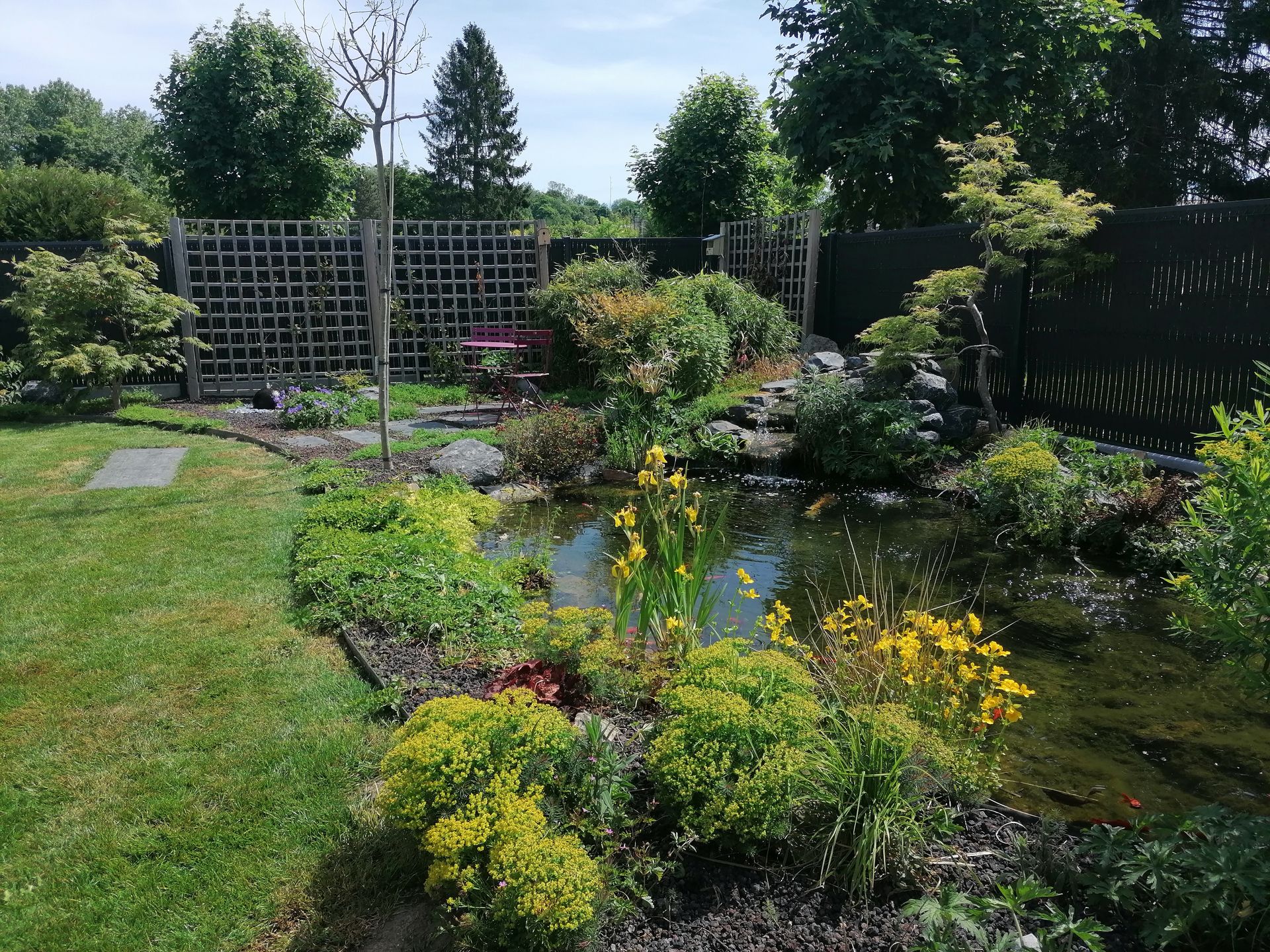 Beau petit bassin dans un jardin