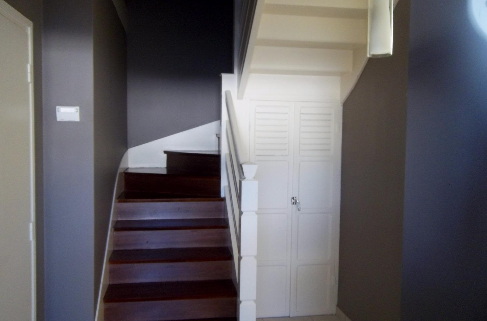 Cage d'escalier - Escalier vitritifié - Rampe en peinture - Murs en patente