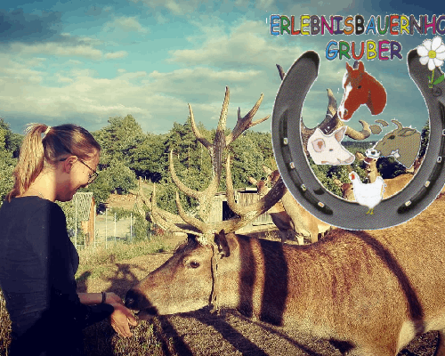 Das friedrich GmbH_Vohenstrauß