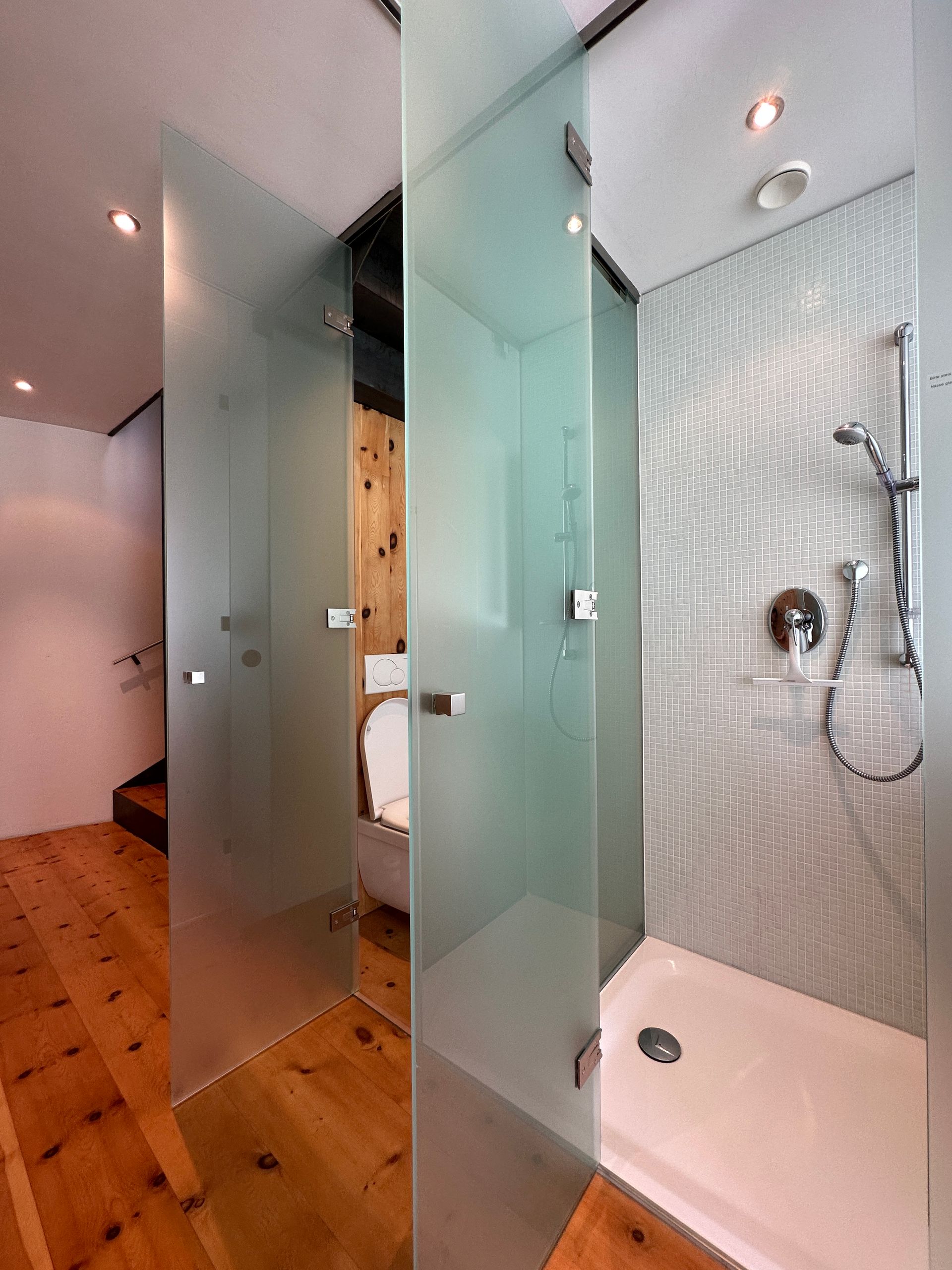 moderne Dusche und WC im Ensuitebereich im Ferienhaus I Palatio in Scuol 