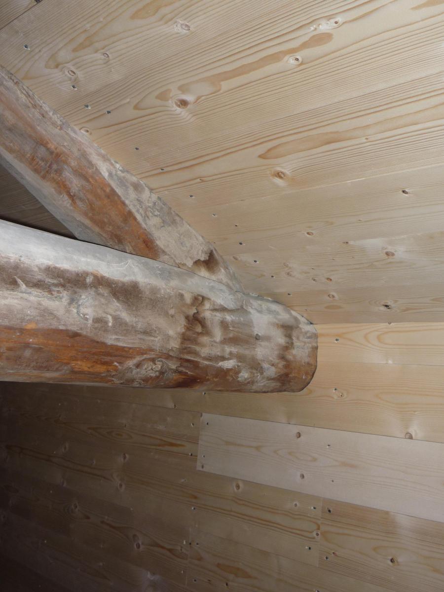 Habillage de plafond en sapin