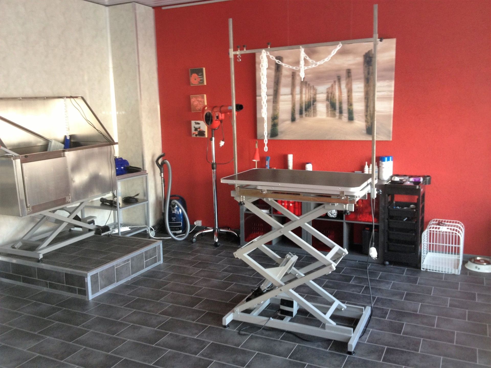 Le Loup Toiletteur pour chiens et chats Guérisseur énergétique