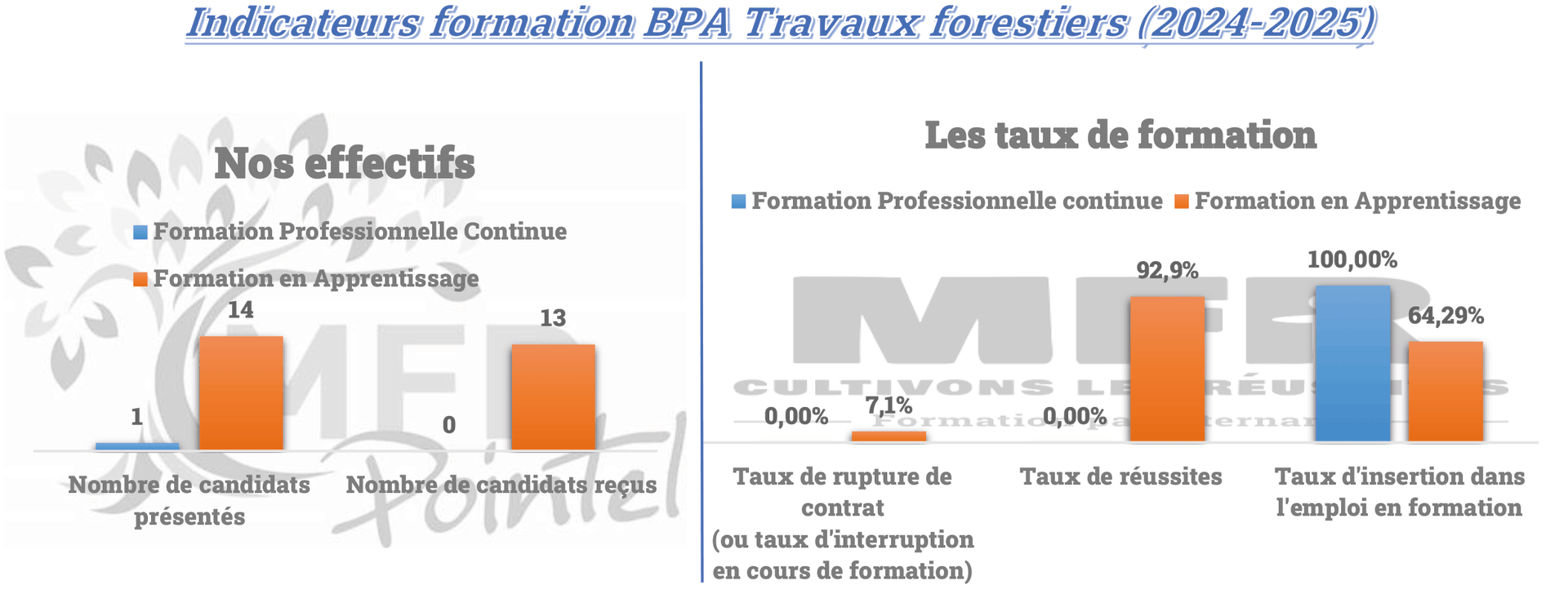 Tableaux explicatifs Indicateurs formation BPA Travaux Forestiers (2024/2025)