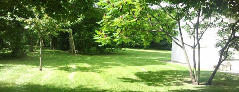Entretien de jardins avec Eric Fligny dans le Val d'Oise