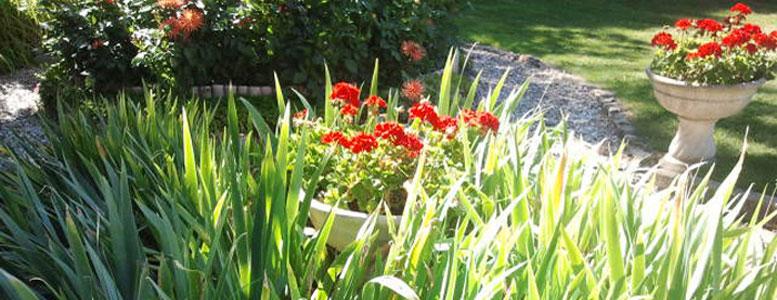 Plantation de fleurs avec Eric Fligny en Seine-Saint-Denis