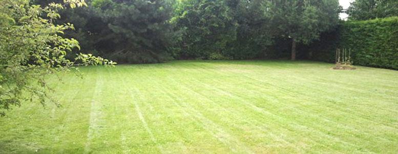 Travaux paysagers avec Eric Fligny à Montfermeil