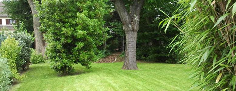 Tonte de gazon avec Eric Fligny dans le Val de Marne
