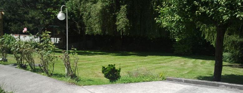 Tonte avec Eric Fligny en Seine-Saint-Denis