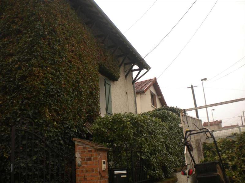 Taille de lierre sur grande hauteur en Seine-Saint-Denis