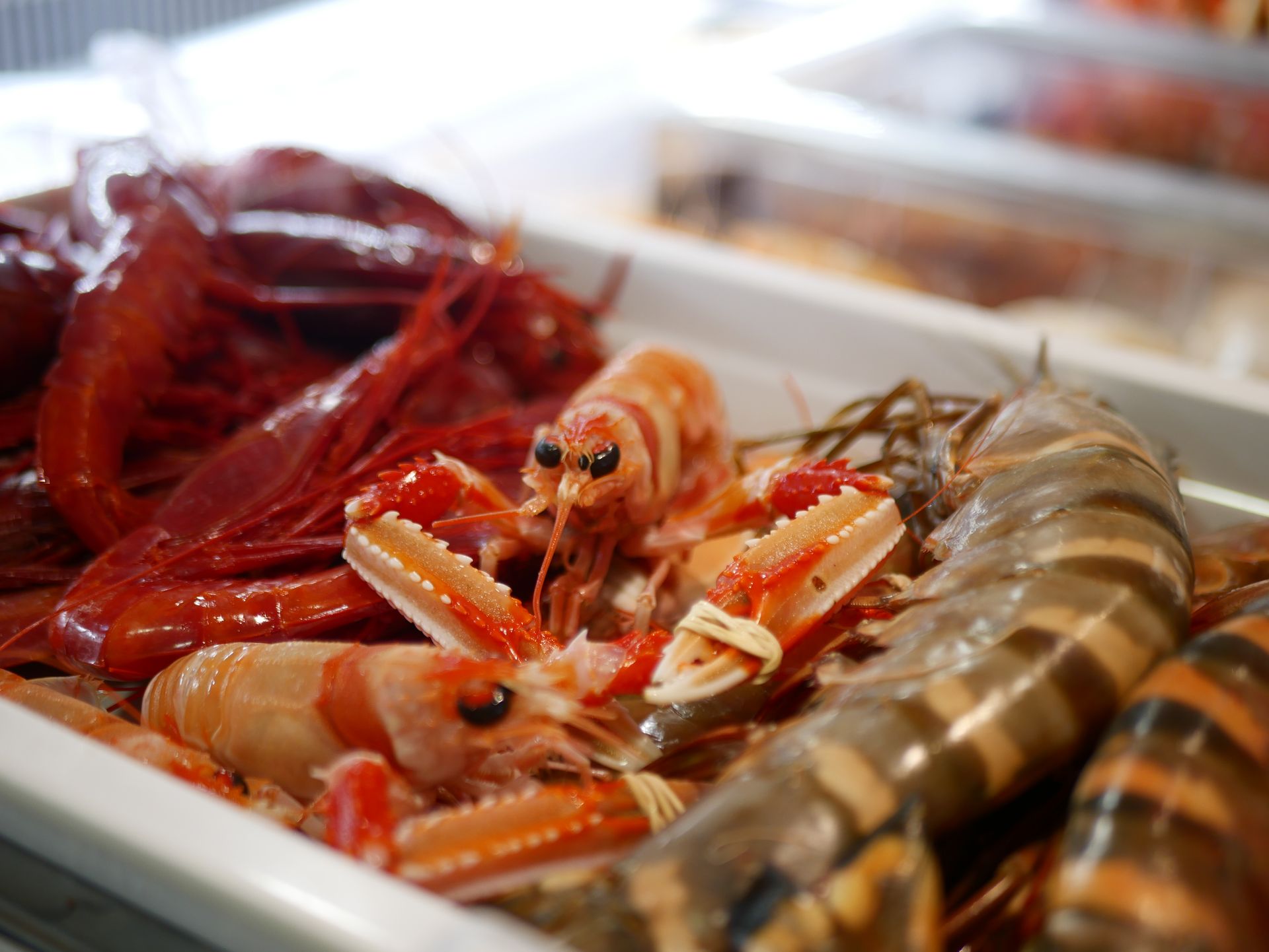 Gallery – Shellfish in Cascais | Mar do Inferno