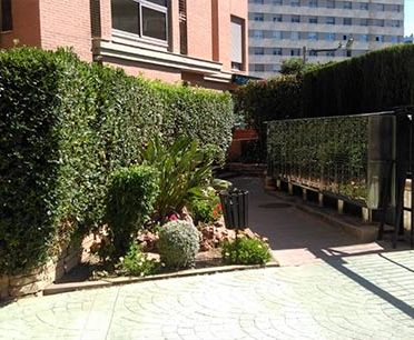 Arce Medioambiental S.L. arbustos