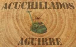Servicio Técnico de Suelos y Parquet en Bilbao 5 Acuchillados Bilbao