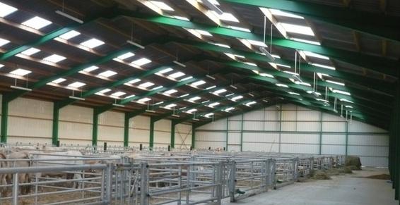 Bâtiment stabulations