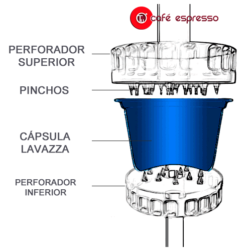 Un diagrama del interior de una cápsula de café.