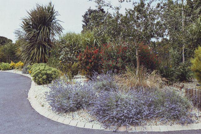 Massif méditerranéen