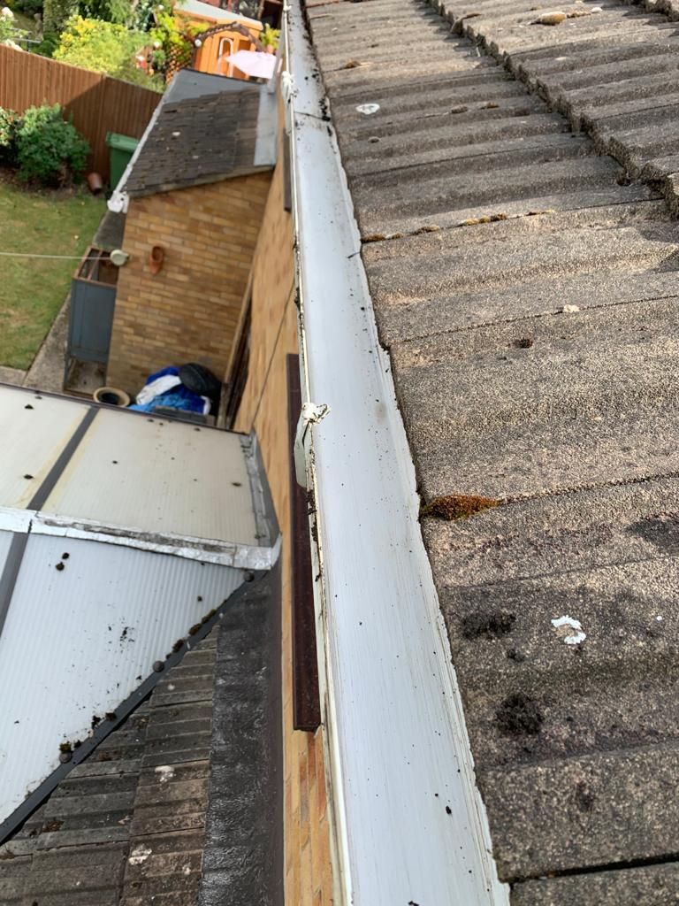 Roof gutter and neighboring corrugated roof beside a narrow alley with sheds and a fence