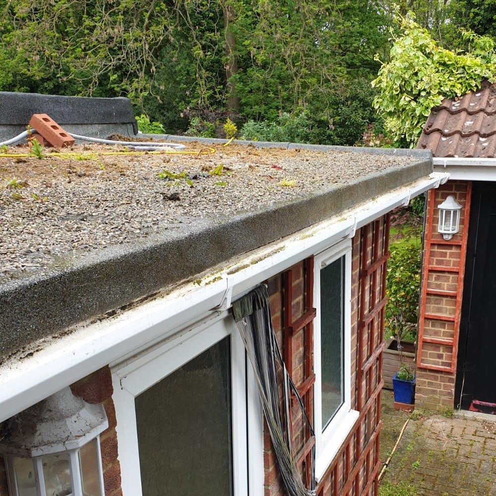Weathered flat roof with moss and gutters beside a red brick house and garden path