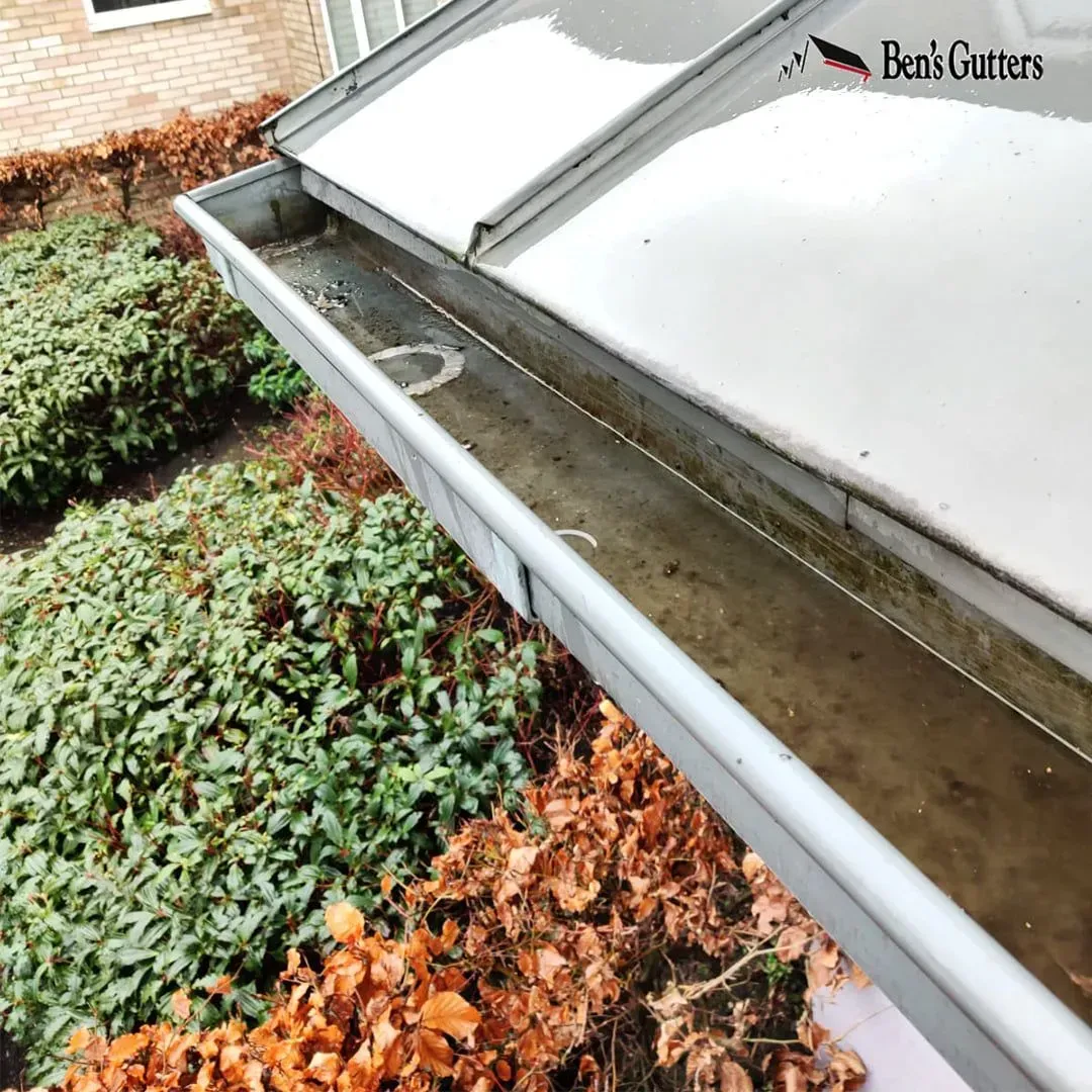 Roof gutters with standing water beside a house and ivy-covered ground below.