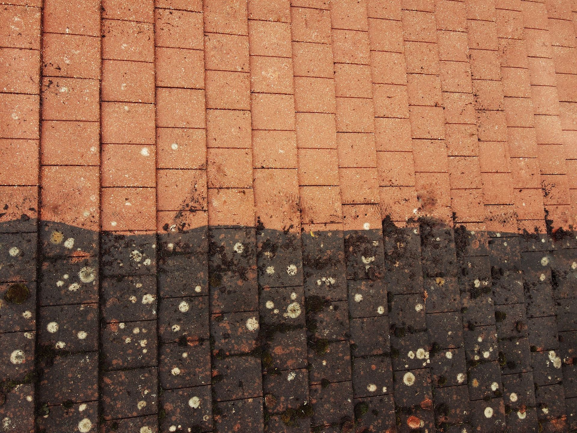 Close-up of a peach and dark brick walkway with scattered leaves and debris