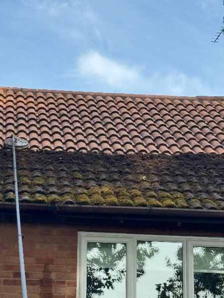 Mossy terracotta roof tiles above a brick house under a blue sky