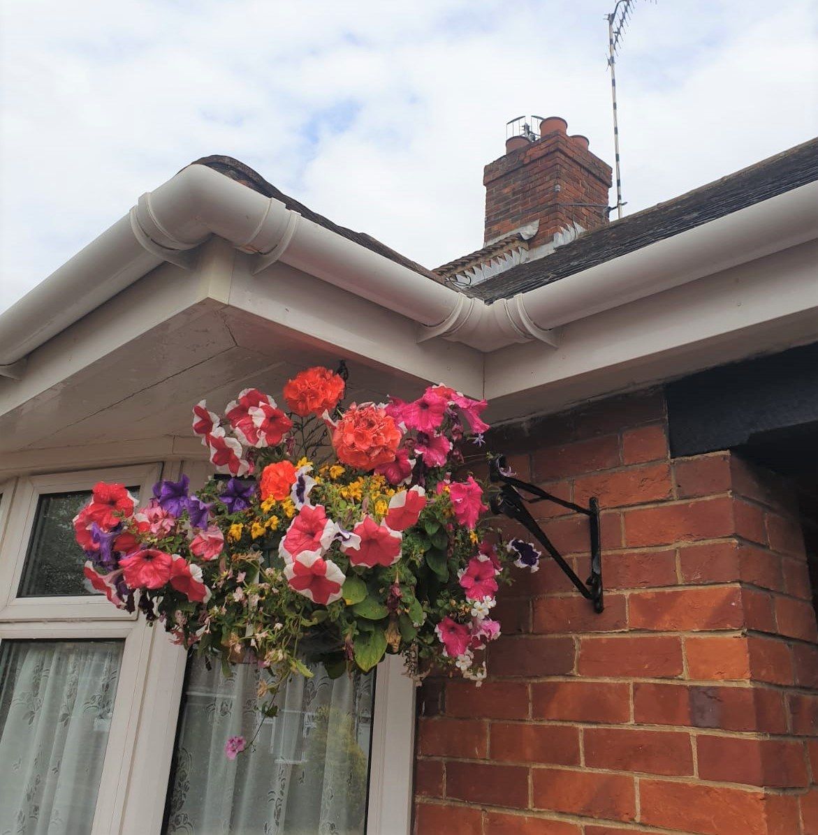 Hanging basket of bright pink, red, and orange flowers beside a brick house roofline