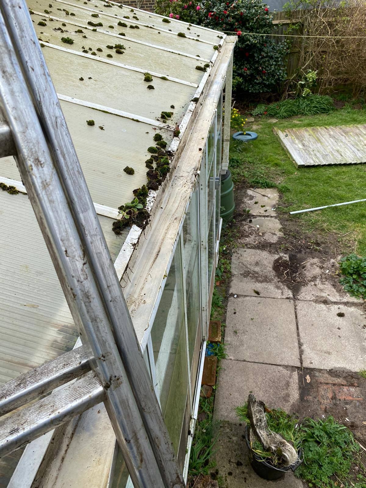 Moss-covered greenhouse roof beside a garden path and grass, with a fence and paving stones nearby