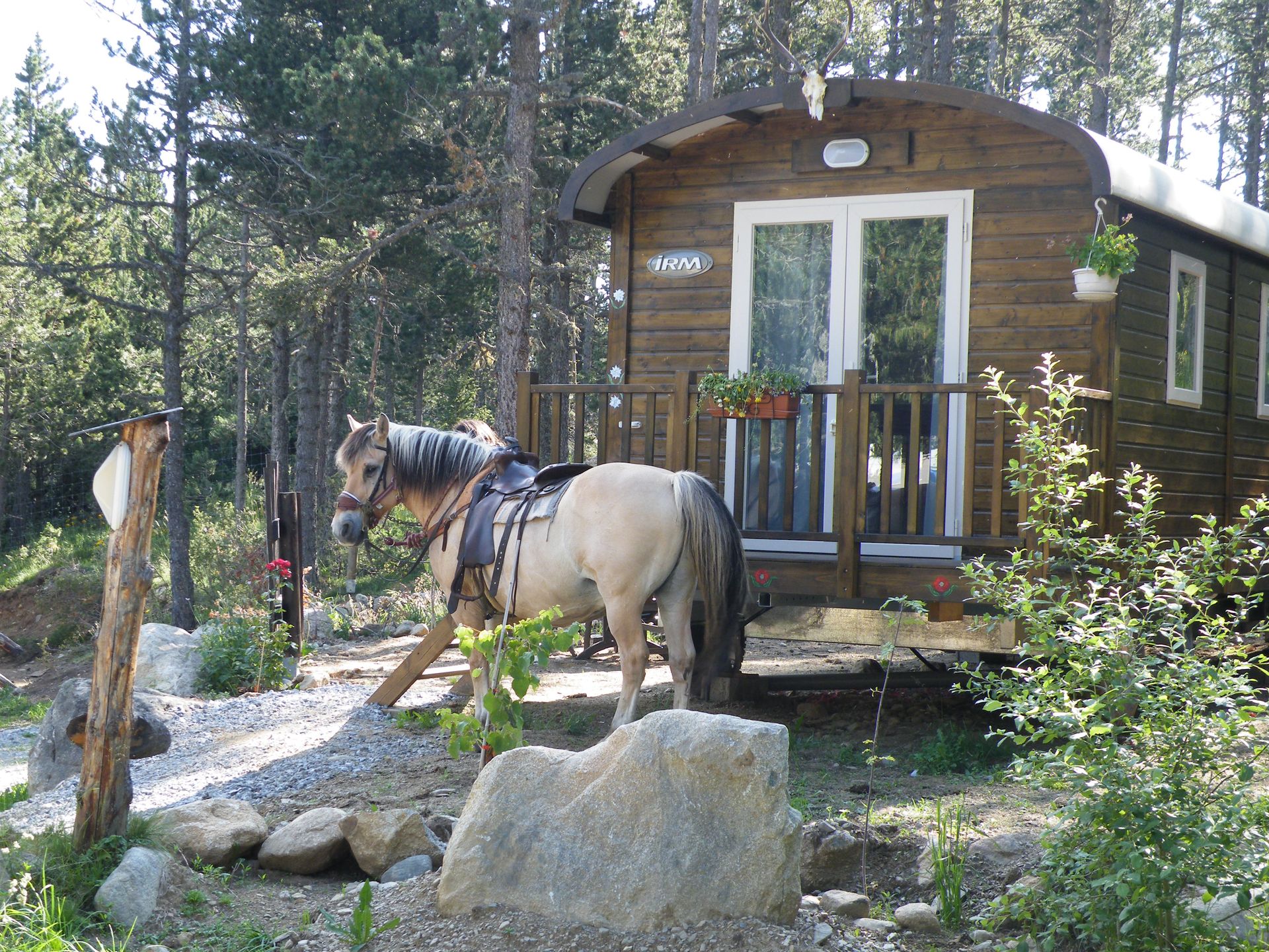 Camping la Devèze — photo 4