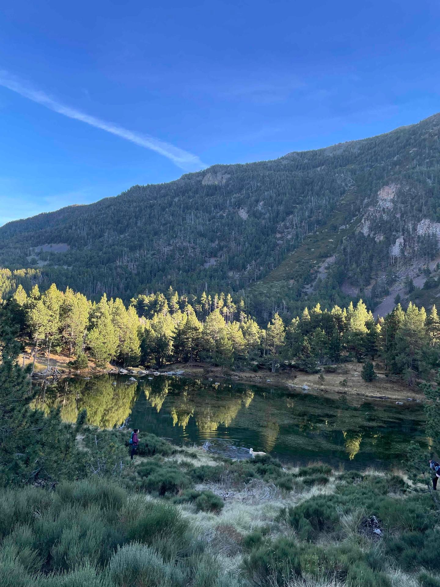 Camping la Devèze — photo 6