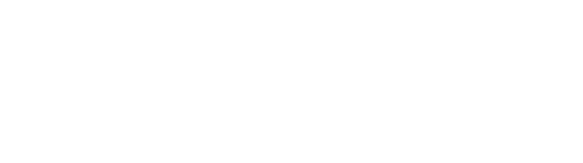 Chick&Co logo