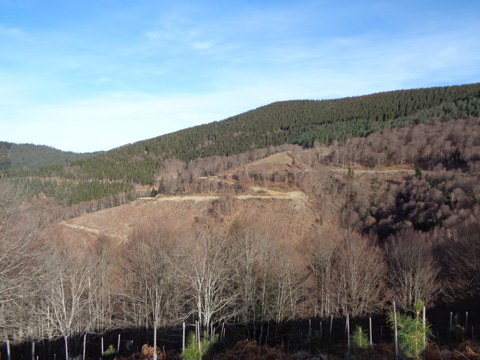 Maitrise  d'oeuvre de routes en zone montagneuse 2