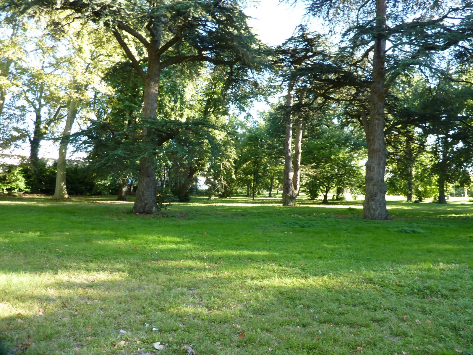 Diagnostic sanitaire arbres de parc (4)