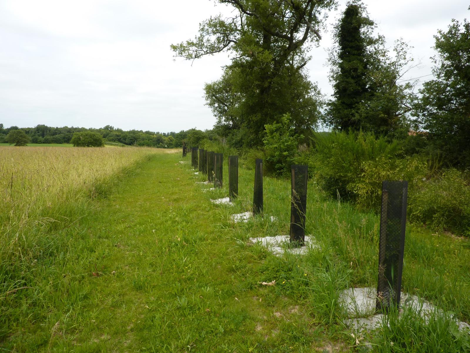 Protections contre le gibier