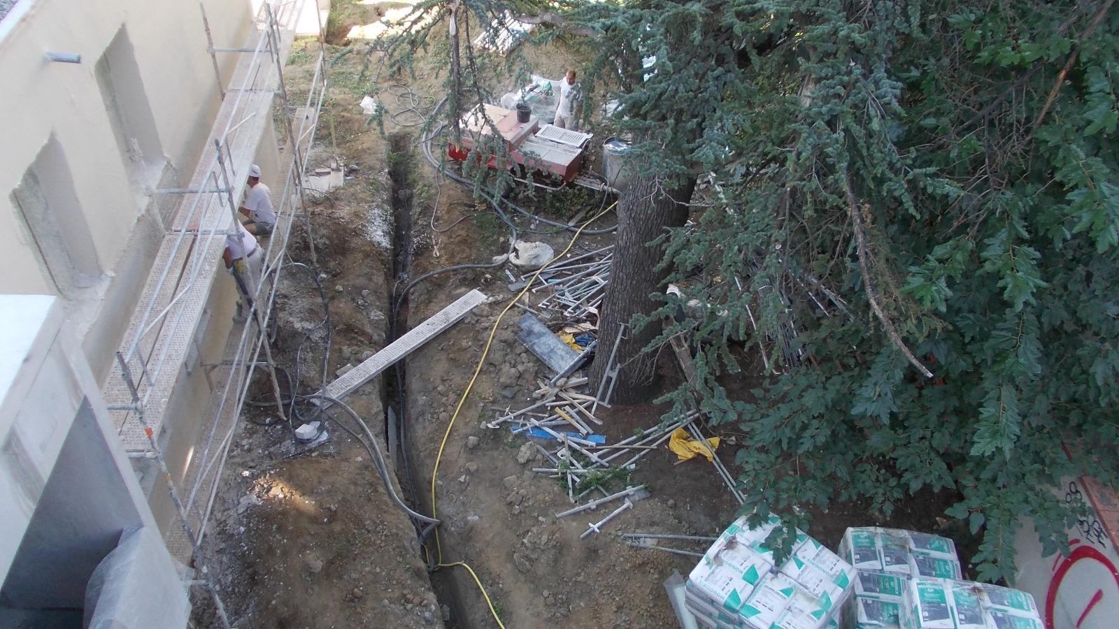 Diagnostic sanitaire - racines et urbanisme  (2)