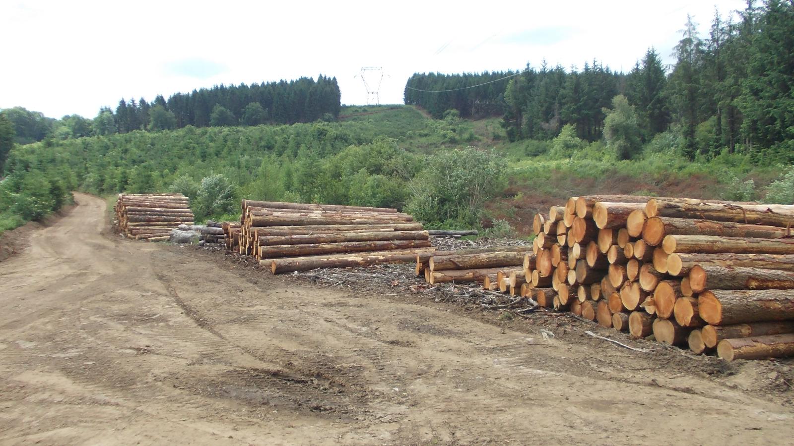 Maitrise oeuvre de coupes