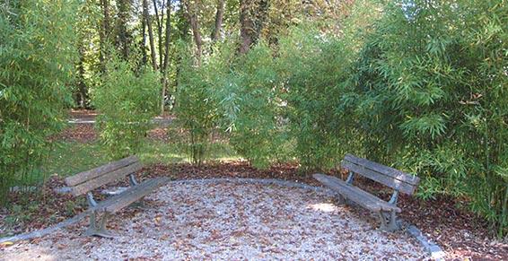 Maisons de retraite - Mulhouse - Accès gloriette