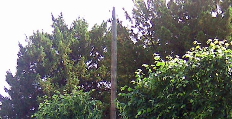 Électricité générale - Éclairage provisoire de chantier