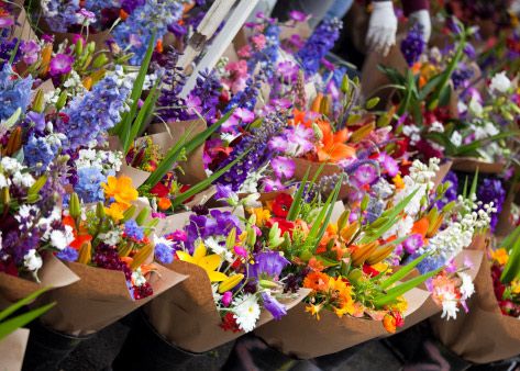 Floristería Peña Flor Floristería Peña Flor