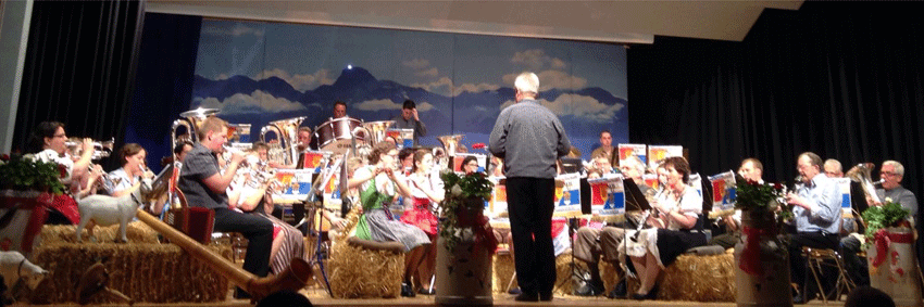 Musikgesellschaft Blumenstein