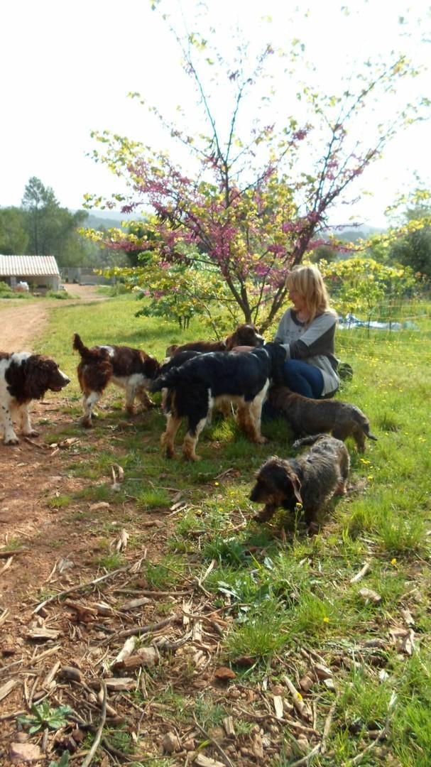 Une vie remplie de chiens