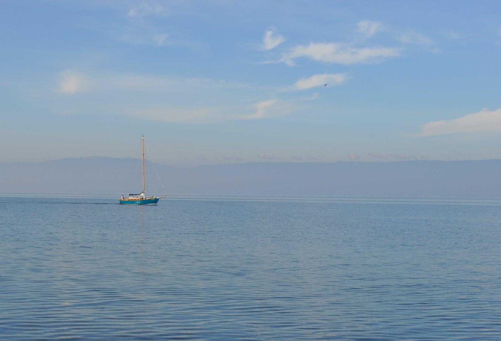 Recouvrement de créances, saisies