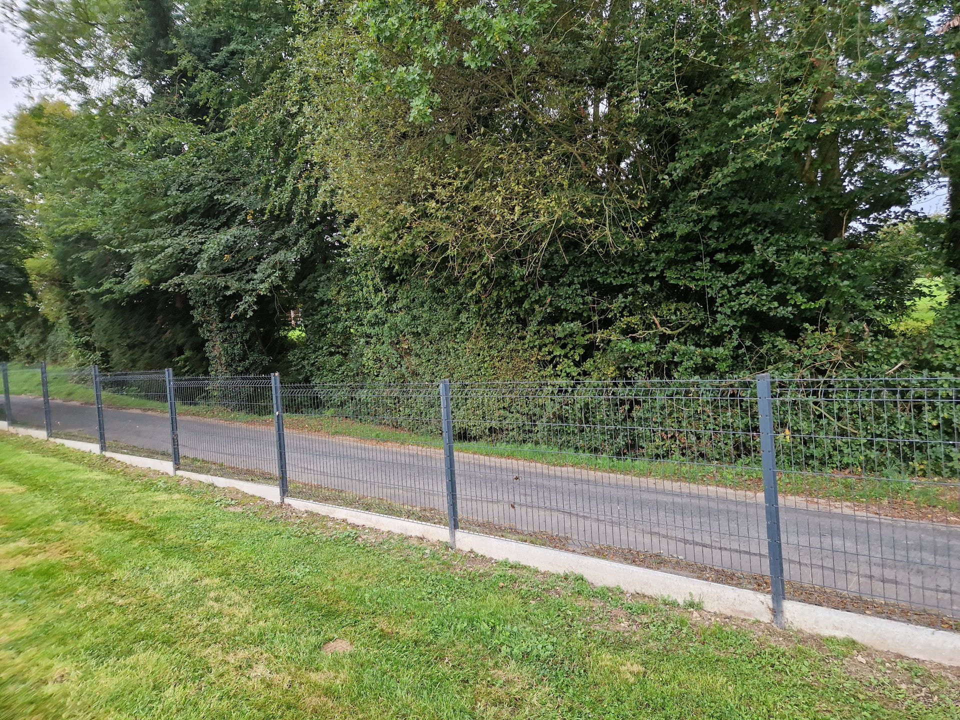 Vis De Pont Revêtues Vertes Pour Clôture Et Terrasse - 50/60/75/100 Mm - Acier Grade 8, Tête Plate, Finition Organique