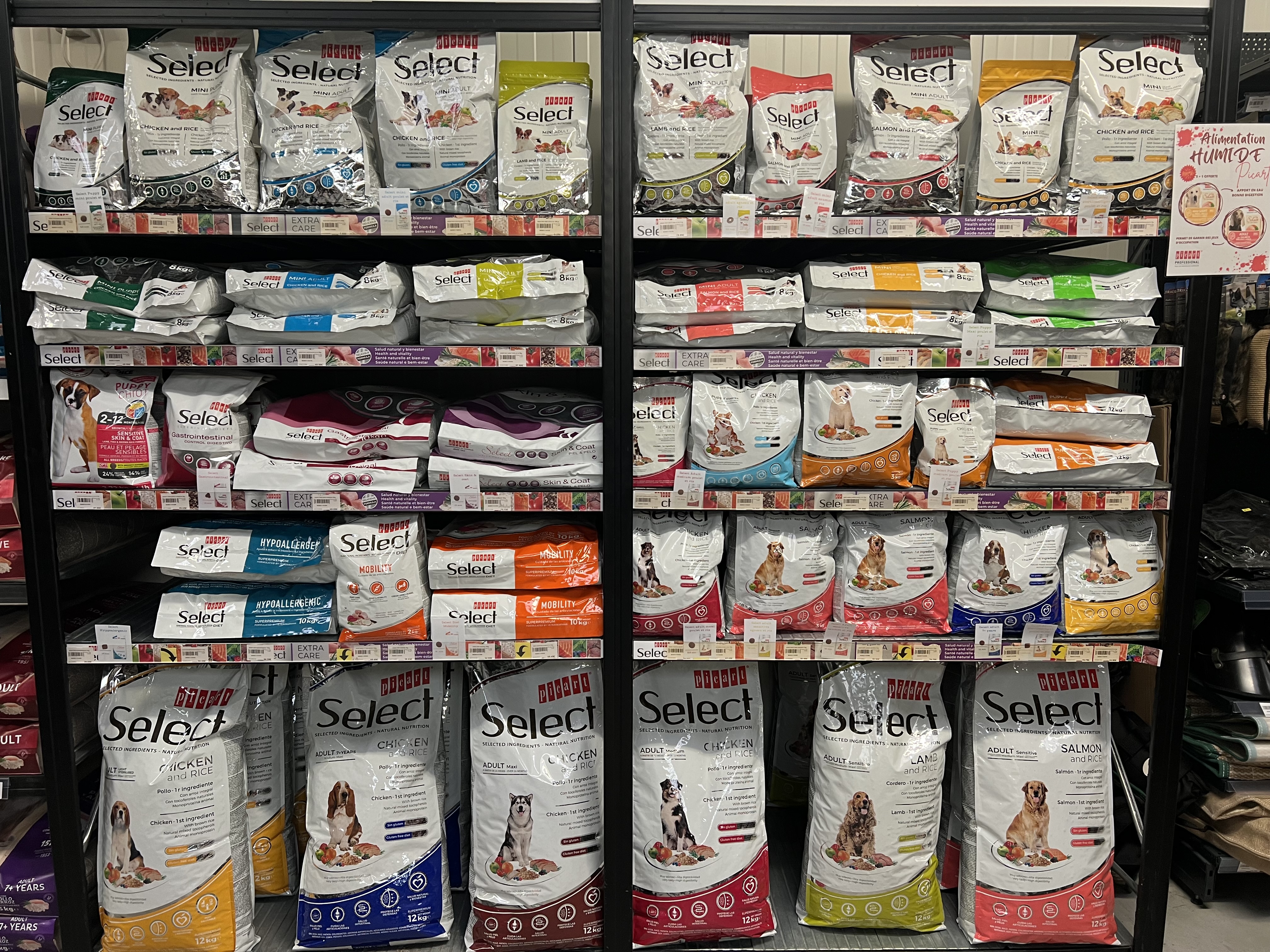 Croquettes pour chiens