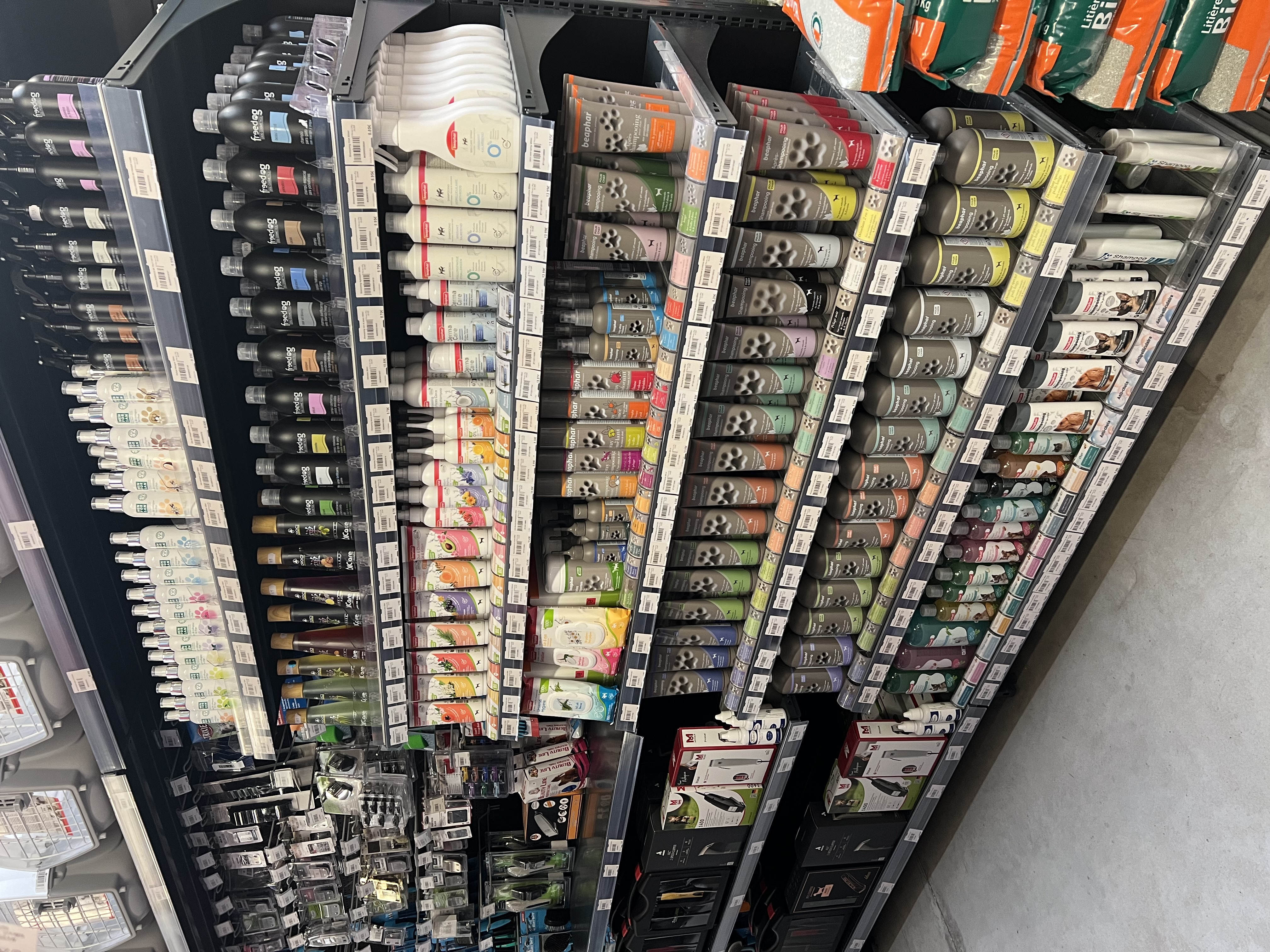 Accessoires pour chiens