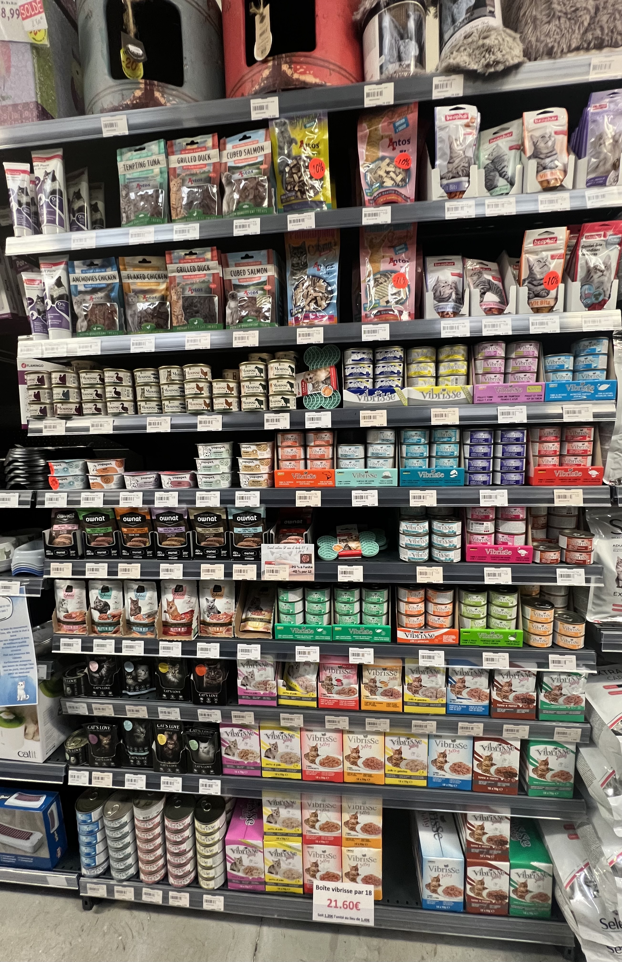 Pâtées et croquettes pour chats