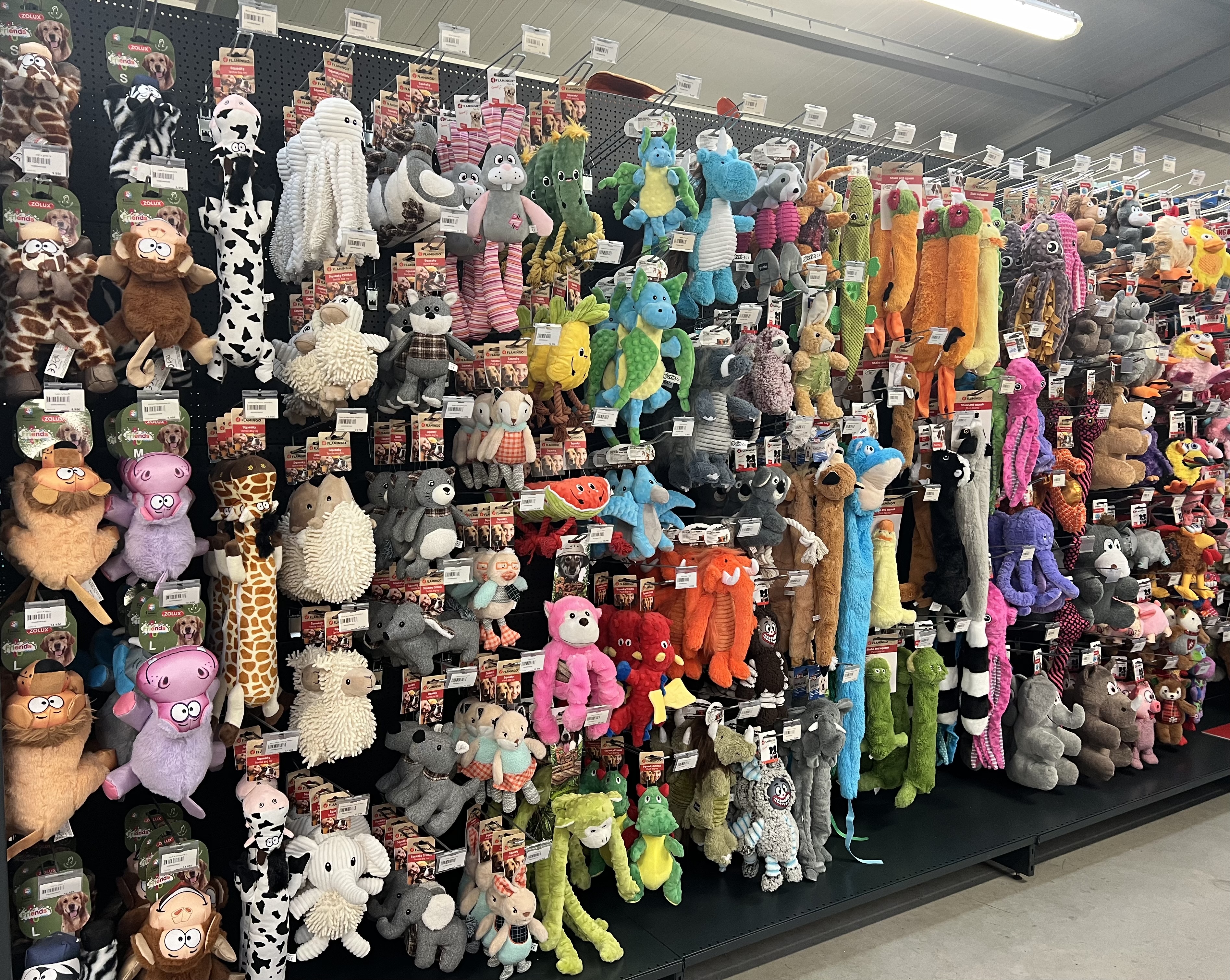 Rayon de peluches pour chiens