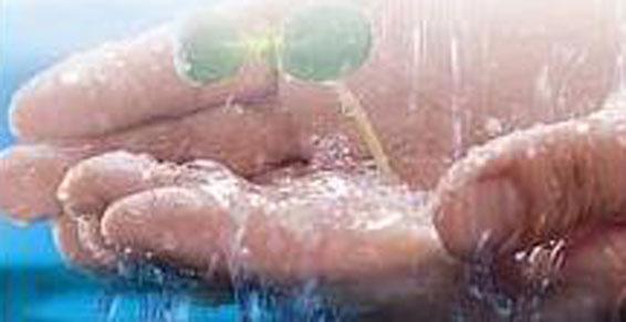 Pompe pour une eau pure