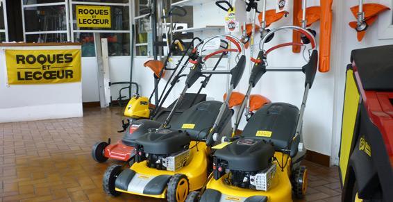 Tondeuse à gazon